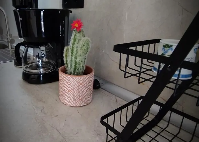 Lassani Apartamento Castória